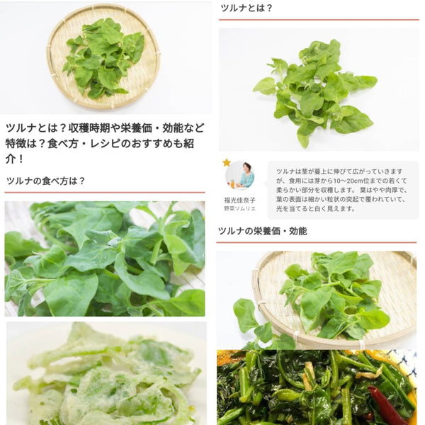 ちそうにて「夏野菜 ツルナ」の監修記事を公開！